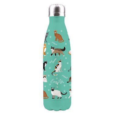 Bouteille Isotherme 500 ml - Chats