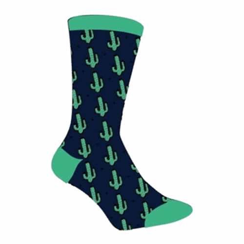 Chaussettes Taille 40-45 - Cactus